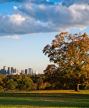 Image of a tree in a green field in Fairmount Park with the skyline of Philadelphia in the background. Photo credit: Belmont Plateau by Frederikto