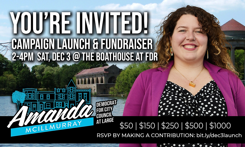 Image is a flyer, on the right shows Amanda, a white woman with curly hair, wearing a purple blazer standing at FDR park by the lake. To the left reads text saying "You're Invited! Campaign Launch & Fundraiser 2-4pm Sat, Dec 3rd @ The Boathouse at FDR" Across the bottom of the flyer lists suggested donation levels "$50, $150, $250, $500, $1000" RSVP by following the link attached to this picture and making a contribution.
